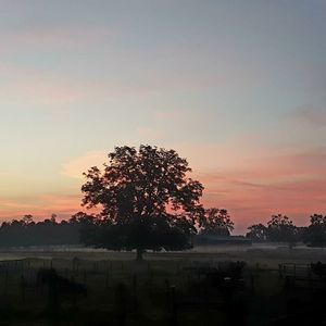 Meet your Posher, Hunter